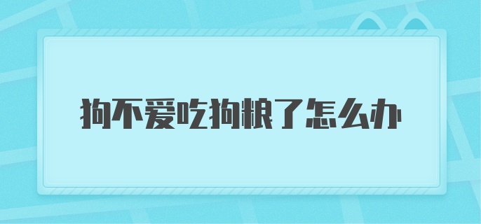 狗不爱吃狗粮了怎么办