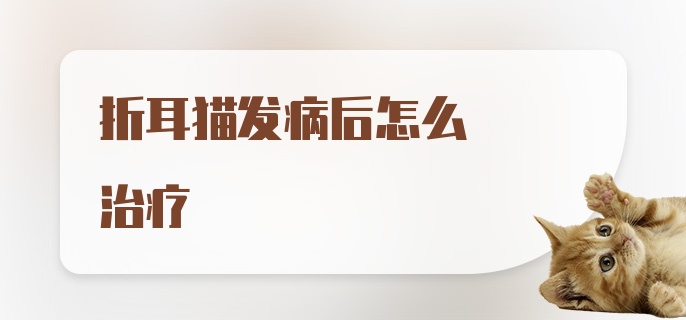 折耳猫发病后怎么治疗