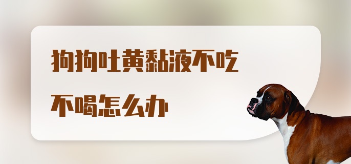 狗狗吐黄黏液不吃不喝怎么办