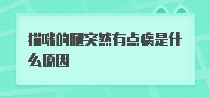 猫咪的腿突然有点瘸是什么原因