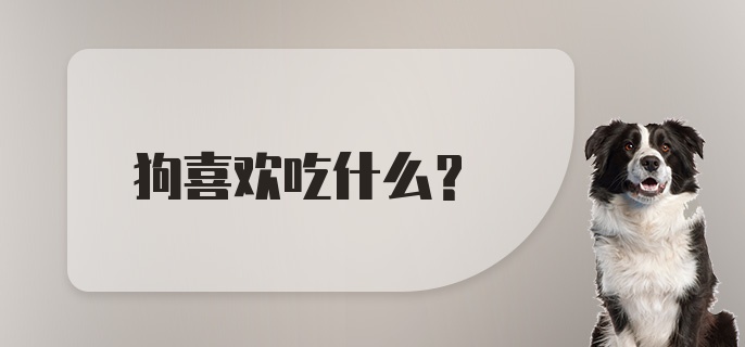 狗喜欢吃什么?