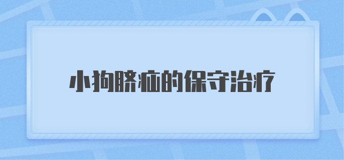 小狗脐疝的保守治疗