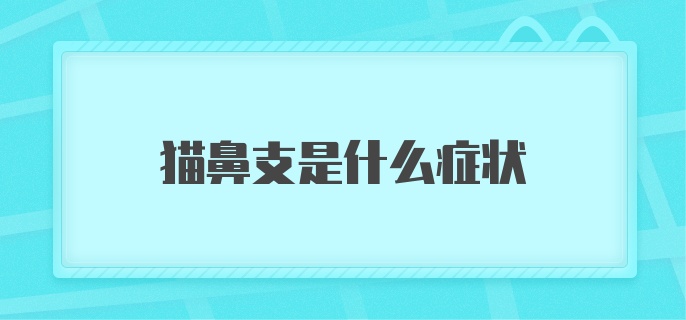 猫鼻支是什么症状