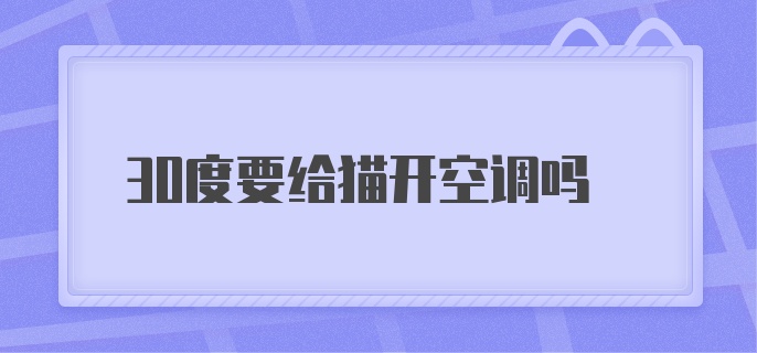 30度要给猫开空调吗