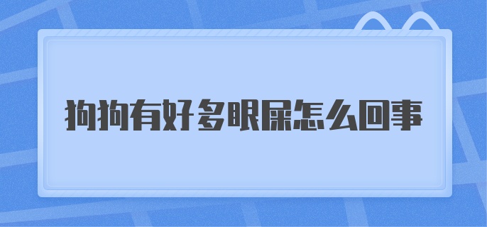 狗狗有好多眼屎怎么回事