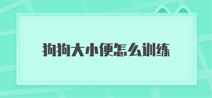 狗狗大小便怎么训练