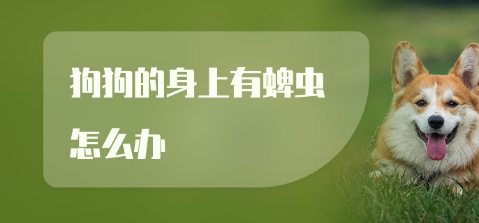 狗狗的身上有蜱虫怎么办