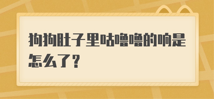 狗狗肚子里咕噜噜的响是怎么了?