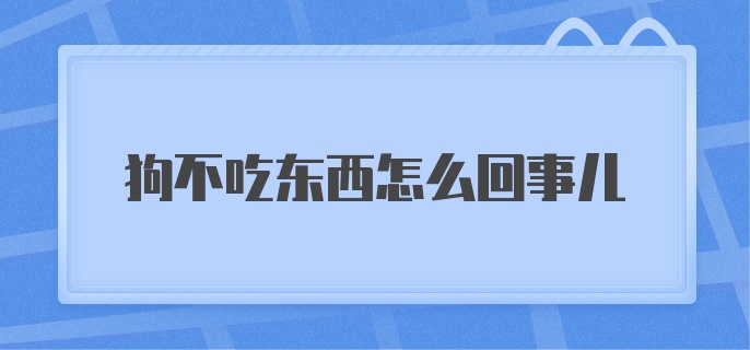 狗不吃东西怎么回事儿