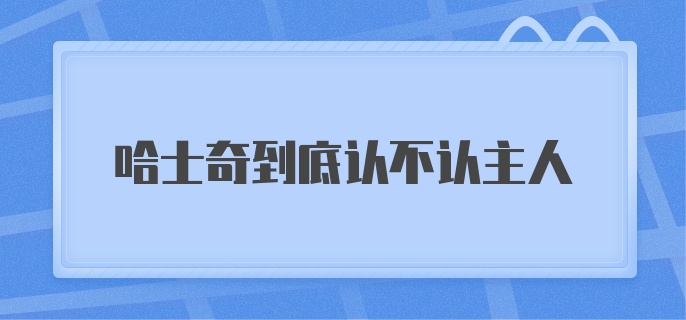 哈士奇到底认不认主人