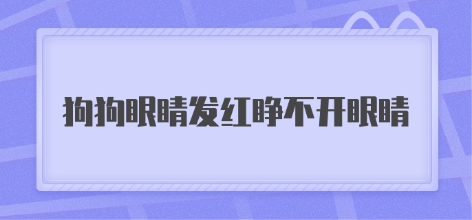 狗狗眼睛发红睁不开眼睛