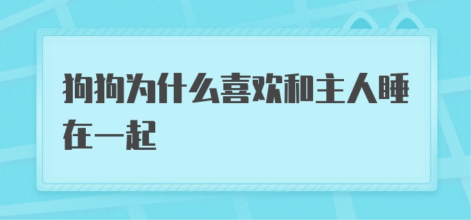 狗狗为什么喜欢和主人睡在一起