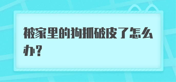 被家里的狗抓破皮了怎么办?