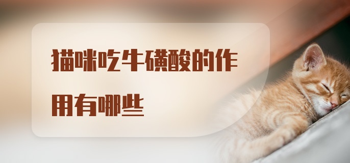 猫咪吃牛磺酸的作用有哪些