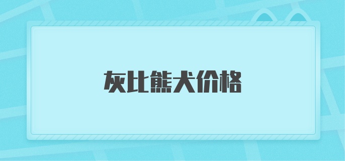 灰比熊犬价格