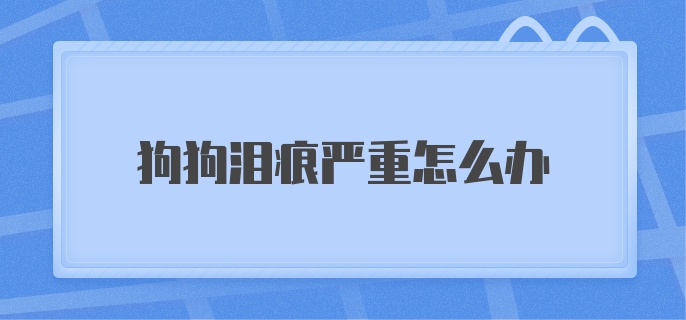 狗狗泪痕严重怎么办