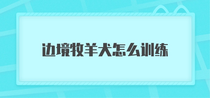 边境牧羊犬怎么训练