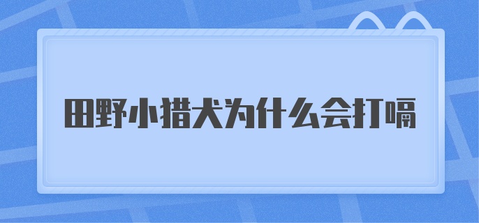 田野小猎犬为什么会打嗝