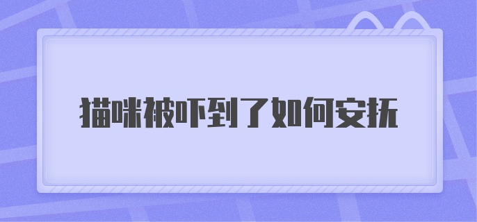 猫咪被吓到了如何安抚