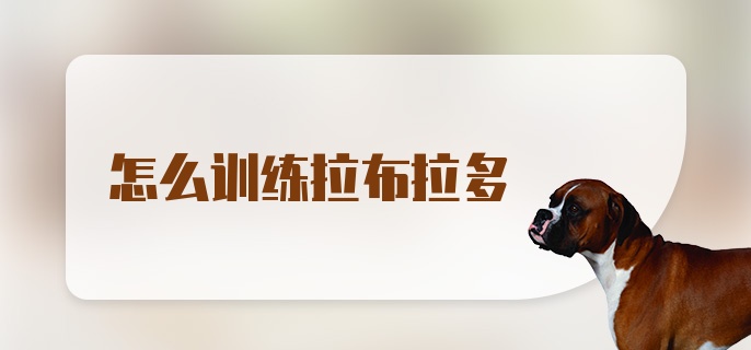 怎么训练拉布拉多