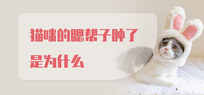 猫咪的腮帮子肿了是为什么