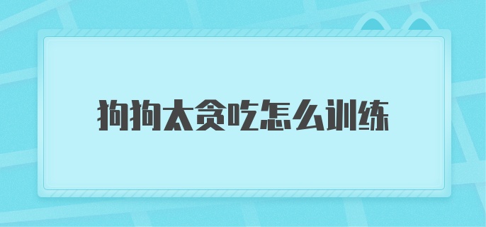 狗狗太贪吃怎么训练