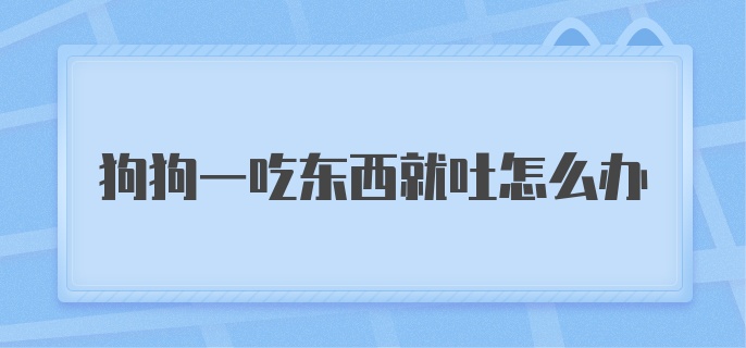 狗狗一吃东西就吐怎么办