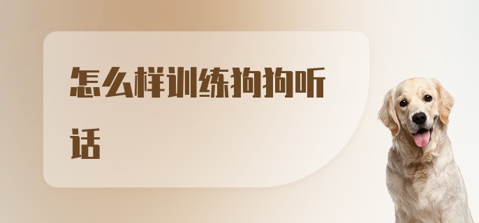 怎么样训练狗狗听话