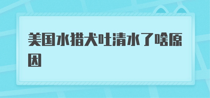 美国水猎犬吐清水了啥原因