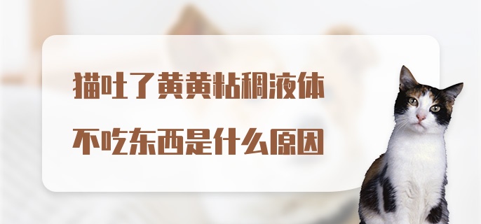 猫吐了黄黄粘稠液体不吃东西是什么原因