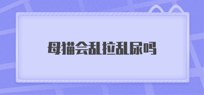 母猫会乱拉乱尿吗