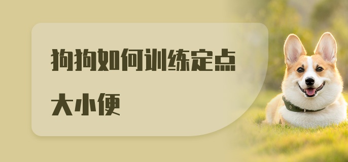 狗狗如何训练定点大小便