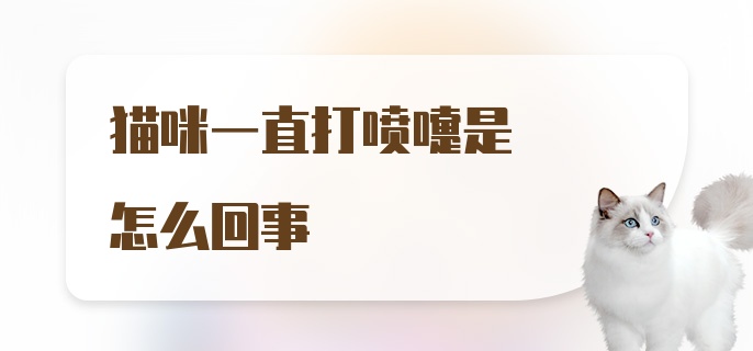 猫咪一直打喷嚏是怎么回事