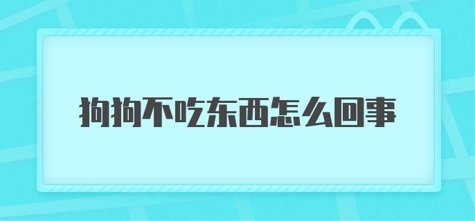 狗狗不吃东西怎么回事