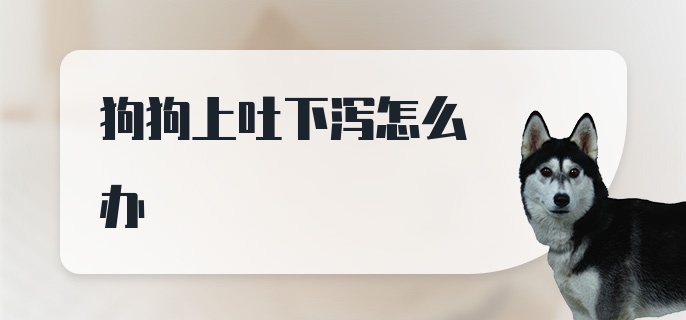 狗狗上吐下泻怎么办