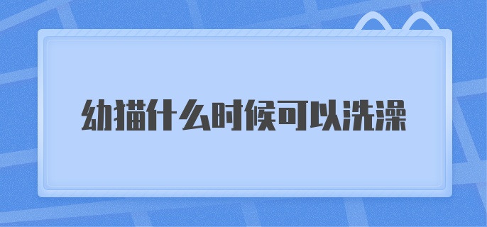 幼猫什么时候可以洗澡