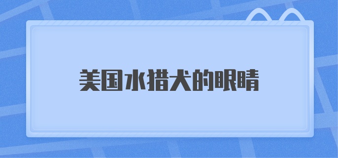 美国水猎犬的眼睛