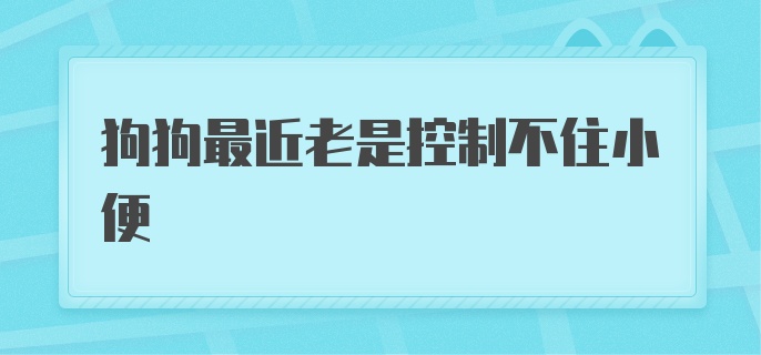 狗狗最近老是控制不住小便