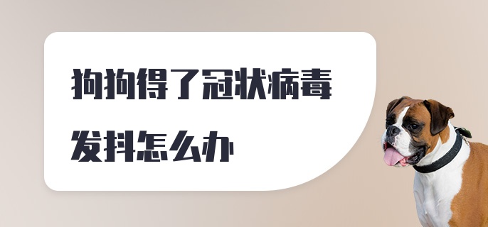 狗狗得了冠状病毒发抖怎么办