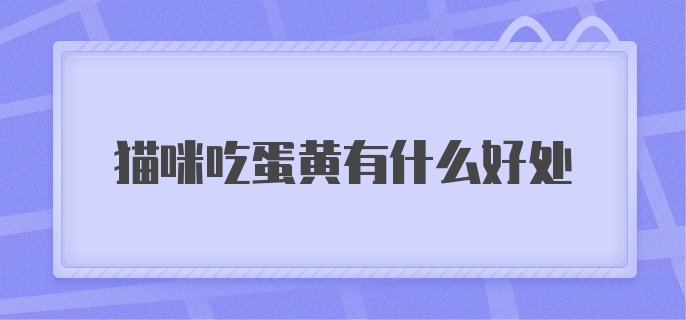 猫咪吃蛋黄有什么好处?