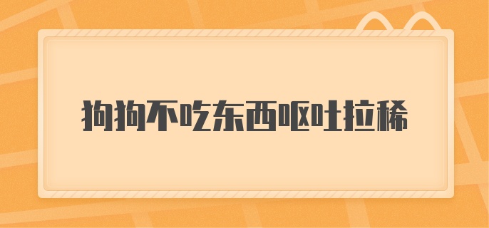 狗狗不吃东西呕吐拉稀