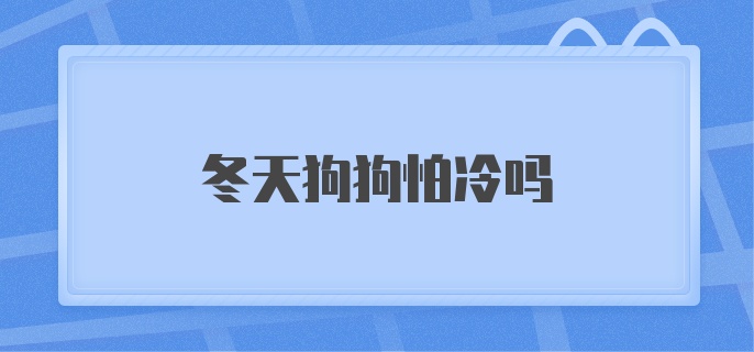 冬天狗狗怕冷吗