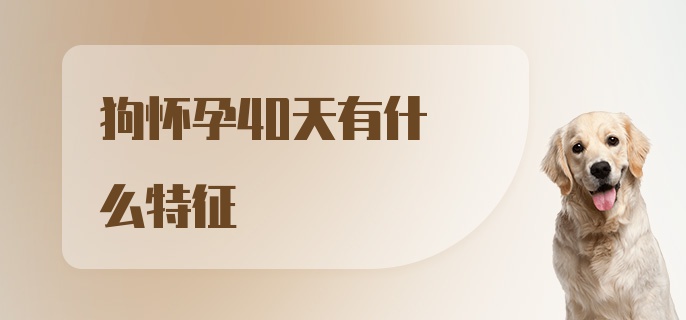 狗怀孕40天有什么特征