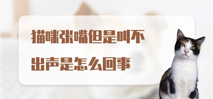 猫咪张嘴但是叫不出声是怎么回事