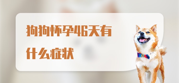 狗狗怀孕46天有什么症状