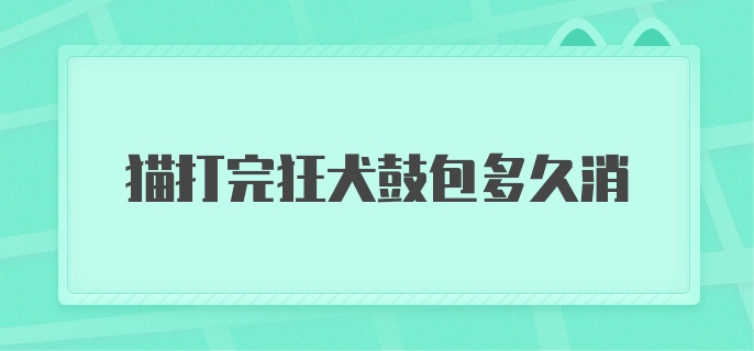 猫打完狂犬鼓包多久消