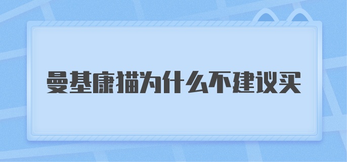 曼基康猫为什么不建议买