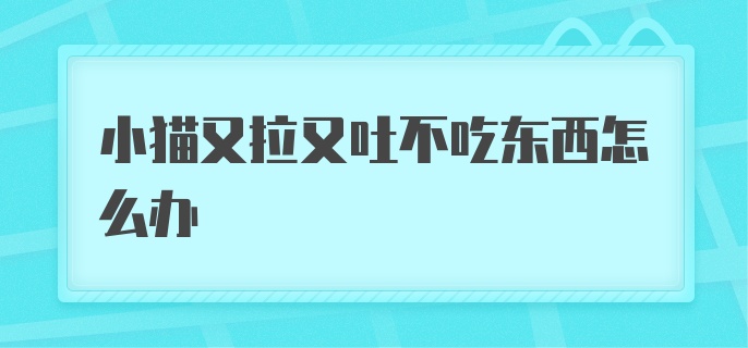 小猫又拉又吐不吃东西怎么办