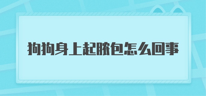 狗狗身上起脓包是怎么回事