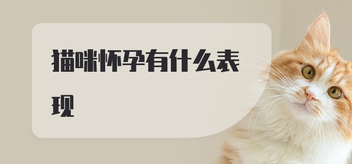 猫咪怀孕有什么表现